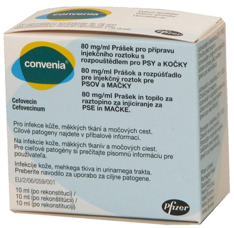 CONVENIA 80 mg/ml