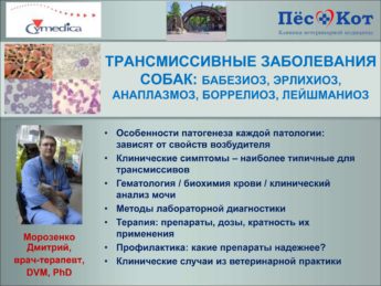 Доповідь про трансмісивні захворювання собак Дмитра Морозенка з семінарів у Дніпрі та Миколаєві