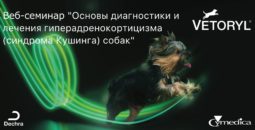 09.02.2018 - Веб-семинар "Основы диагностики и лечения гиперадренокортицизма (синдрома Кушинга) собак"