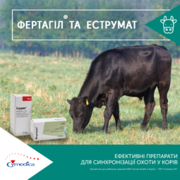 Ефективні препарати синхронізації охоти у корів