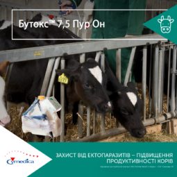 Захист від ектопаразитів - підвищення продуктивності корів