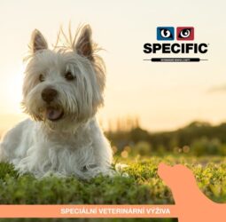 SPECIFIC™ - video