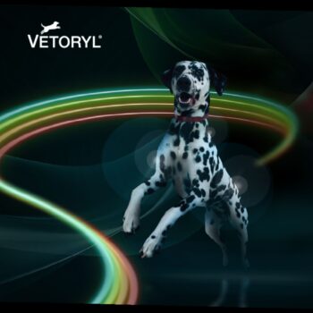 Vetoryl