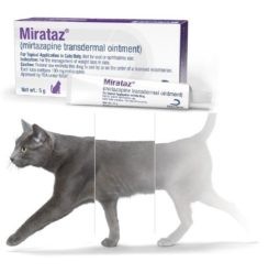 Mirataz® - transdermální mast pro kočky