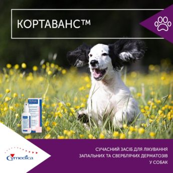 Кортаванс - лікування запальних та сверблячих дерматозів у собак
