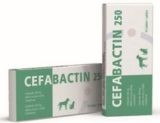 Cefabactin 250 mg, tableta