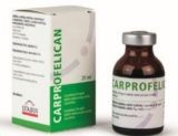 Carprofelican 50 mg/ml, injekční roztok pro psy a kočky