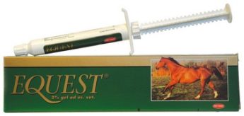 Equest 18,92 mg/g perorální gel
