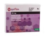Quiflox 80 mg tablety pro psy