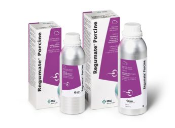 Regumate Porcine 4mg/ml