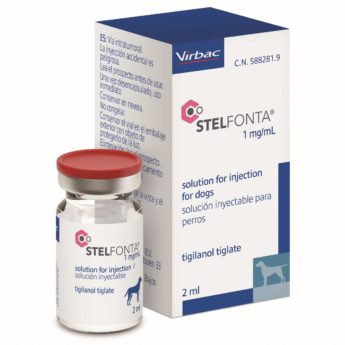 STELFONTA 1 mg/ml injekční roztok pro psy