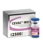 CEVAC IBD L, lyofilizát na prípravu suspenzie