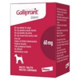 Galliprant 60 mg
