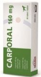 Carporal 160 mg (karprofen pro psy)