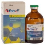 Enroxil 50 mg/ml, injekční roztok