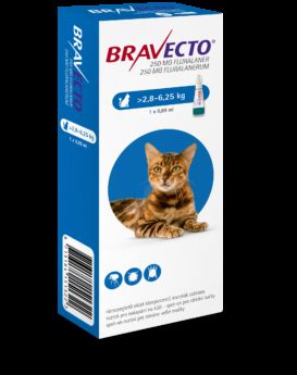 Bravecto M Cat 250 mg roztok pro nakapání na kůži - spot-on pro střední kočky (>2,8 - 6,25 kg)