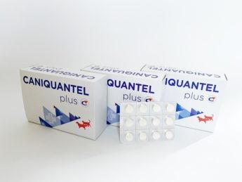 CANIQUANTEL PLUS, ochucené tablety