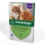 Advantage 80 mg roztok pro nakapání na kůži – spot-on pro velké kočky a králíky