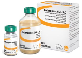 Enteroporc COLI AC lyofilizát a suspenze pro injekční suspenzi pro prasata