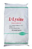 L-Lysine 98,5%