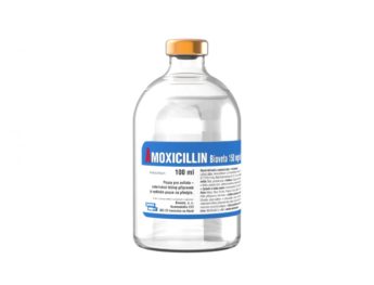 AMOXICILLIN Bioveta 150 mg/ml LA injekční suspenze