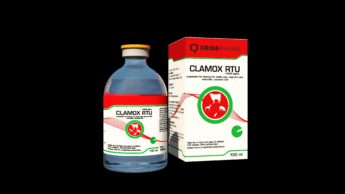 CLAMOX RTU, injekčná suspenzia pre hovädzí dobytok, ošípané, psy a mačky