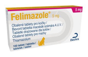 Felimazole 5 mg obalené tablety pro kočky