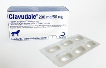 Clavudale 200 mg/50 mg, tablety pro psy