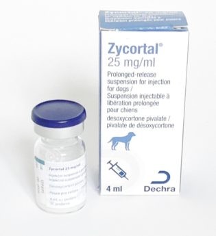 Zycortal, 25 mg/ml, injekční suspenze s prodlouženým uvolňováním