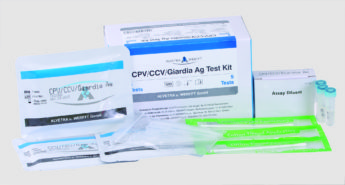 RAPID test CPV/CCV/Giardia