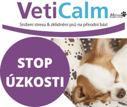 ZKlidnění psa po užití VetiCalmu