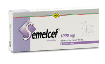 SEMELCEF 1000 mg tablety pro psy