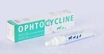 Ophtocycline 10 mg/g (oční mast pro psy, kočky a koně, chlortetracyklin)