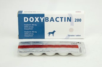 Doxybactin 200 mg, tableta