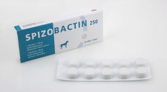 Spizobactin 1 500 000 IU / 250 mg žvýkací tablety pro psy