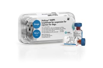 Nobivac DHPPi lyofilizát na injekčnú suspenziu