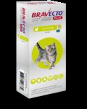 Bravecto Cat Plus S 112,5 mg / 5,6 mg spot-on roztok pre malé mačky ( 1,2-2,8 kg )