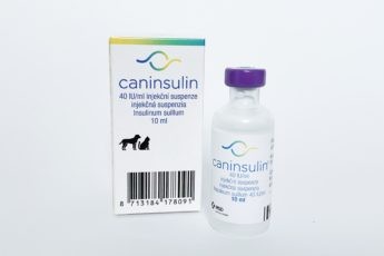Caninsulin 40 IU/ml injekčná suspenzia
