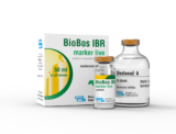 BioBos IBR marker live lyofilizát a rozpúšťadlo na suspenziu