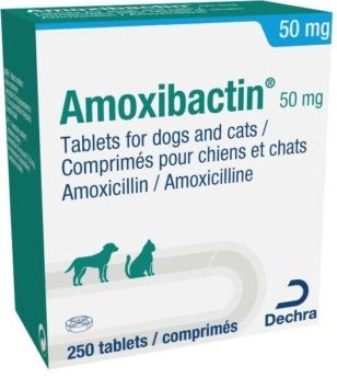 Amoxibactin 50 mg tablety pro psy a kočky