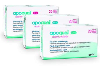 APOQUEL 5,4 mg potahované tablety pro psy