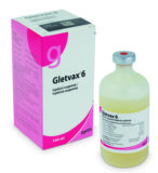 Gletvax 6, injekční suspenze