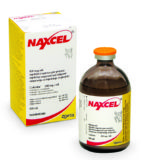 NAXCEL 100 mg/ml injekční suspenze pro prasata