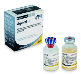 RISPOVAL 3 Lyofilizát a rozpúšťadlo na injekčnú suspenziu pre hovädzí dobytok