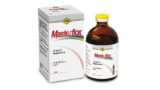 MASTERFLOX 40 mg/ml injekční roztok pro prasata