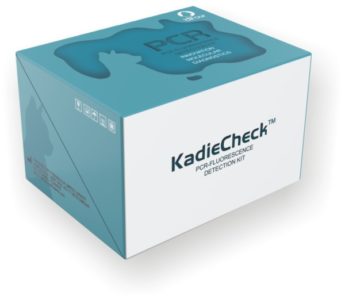 PCR test 4v1 psinka/Adenovirus typ-2/Parainfluenza/Bordetella