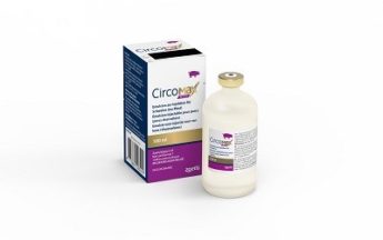 CircoMax injekční emulze pro prasata