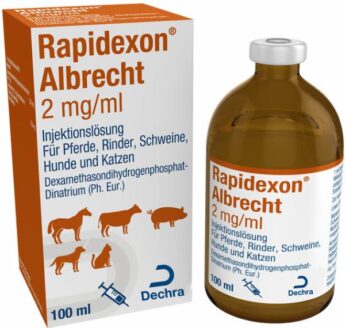 RAPIDEXON 2 mg/ml injekční roztok.