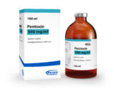 Pentoxin 500 mg/ml injekční roztok