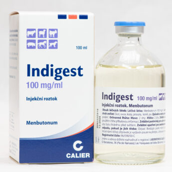 INDIGEST 100 mg/ml injekční roztok